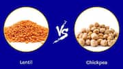 Lentils v/s chickpeas: Which legume is more nutritious?