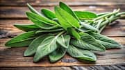 How sage is used in traditional healing 