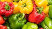 Flavorful dishes starring bell peppers 
