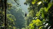 Adventure lovers, this ziplining experience is next level 