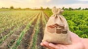 Agricultural loans in India: A complete guide