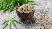 How to include hemp seeds in your meals