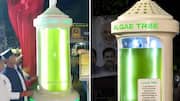 Bhopal gets India's 1st 'Algae Tree': How it works