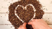 Roasted buckwheat: A healthier alternative to chips