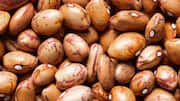 What are pinto beans?