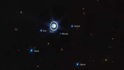 Webb captured six of Uranus's 27 known moons