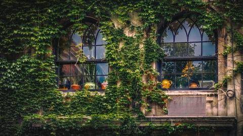 Beginner's guide to vertical gardening Beginner's guide to vertical gardening