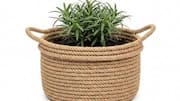 DIY: How to make reed basket planters 