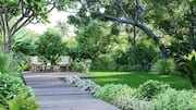 How to create a nature-inspired walking space at home
