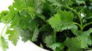 Love cilantro leaves? You must try these recipes