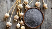 Poppy seeds: Nutrition, uses, and more