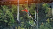 Bungee swinging: An adventure you will never forget 