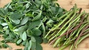 Meet your new super green: Purslane 