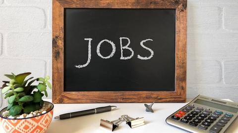 5 offbeat careers that also pay well 5 offbeat careers that also pay well