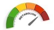 What you should know about metabolism