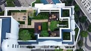 The surprising benefits of growing gardens on rooftops