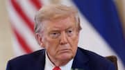 Trump bought over $100 million in bonds since taking office