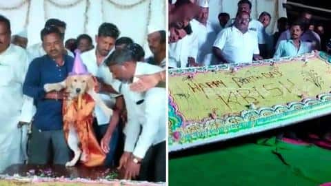 Karnataka: Man throws birthday party for dog with 4,000 guests Karnataka: Man throws birthday party for dog with 4,000 guests