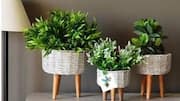 How to use handmade baskets as planters 