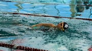 Walking or swimming: Which workout fits your lifestyle?