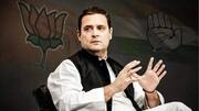 Rahul for Congress chief again? Clamor grows before Chintan Shivir