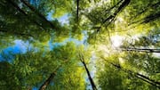 How nature photography boosts mindfulness
