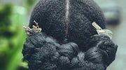 5 stylish hairstyles with natural accessories