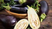 Garden eggplant: Nutrition, culinary uses, and more