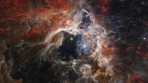 James Webb captures an elusive 'cosmic tarantula' James Webb captures an elusive 'cosmic tarantula'