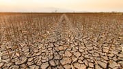 How African artists are highlighting ecological concerns 