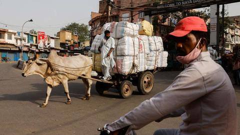 NDMC proposes alternative livelihood policy for bullock cart pullers, ironsmiths NDMC proposes alternative livelihood policy for bullock cart pullers, ironsmiths