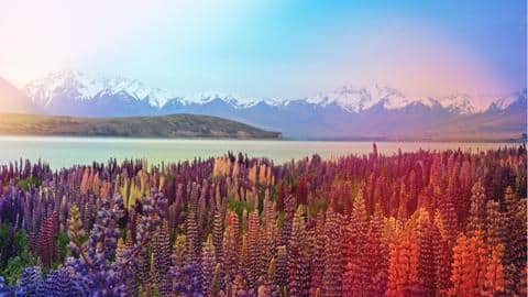 New Zealand: Visit these wellness destinations to relax & rejuvenate New Zealand: Visit these wellness destinations to relax & rejuvenate