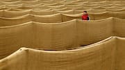 Indoor maze walking: This walk gives your body a workout