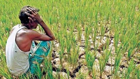 Farmers' leader threatens to move court against IMD's 'wrong' predictions Farmers' leader threatens to move court against IMD's 'wrong' predictions