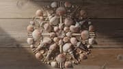 How to beautify your space with seashell art 