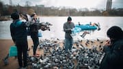 These popular London parks may leave you underwhelmed