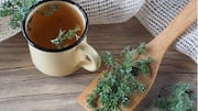 What is artemisia tea?
