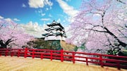 Cherry blossom spots in Japan: Visit these hidden gems