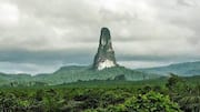 You must visit these botanical wonders in Sao Tome, Africa 