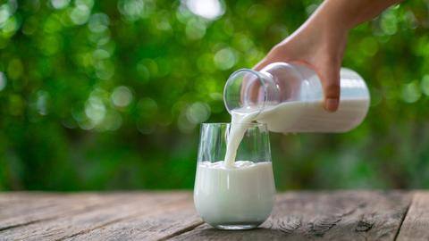 Washing hair with milk: Benefits and how to do it Washing hair with milk: Benefits and how to do it