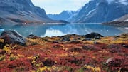 Why Greenland's fjords are a kayaker's dream 