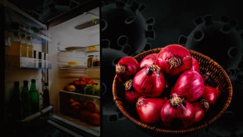 Can you catch 'Black fungus' from your refrigerator or onions? Can you catch 'Black fungus' from your refrigerator or onions?