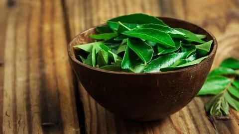 Too much hair loss? Here's how curry leaves can help Too much hair loss? Here's how curry leaves can help