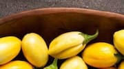 Nyanya: Culinary uses of this African tomato