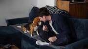 These gene-edited beagles will not trigger your allergies