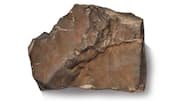 Largest-ever Mars rock could fetch $4M at upcoming auction