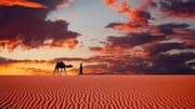 Africa's most iconic desert landscapes: A list 