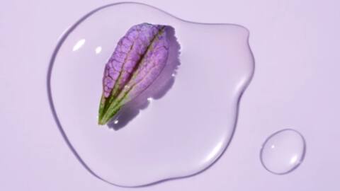 Bakuchiol: The plant-based sister of retinol for healthy skin Bakuchiol: The plant-based sister of retinol for healthy skin