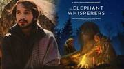 #NewsBytesExclusive: Oscars shortlist unexpected, says 'Elephant Whisperers' cinematographer Anand Bansal