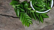 5 curry leaves recipes you haven't tried yet 